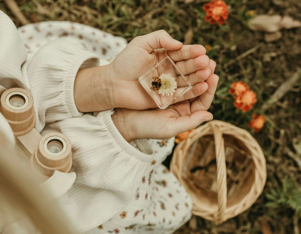 Ladybird and Flower Specimen