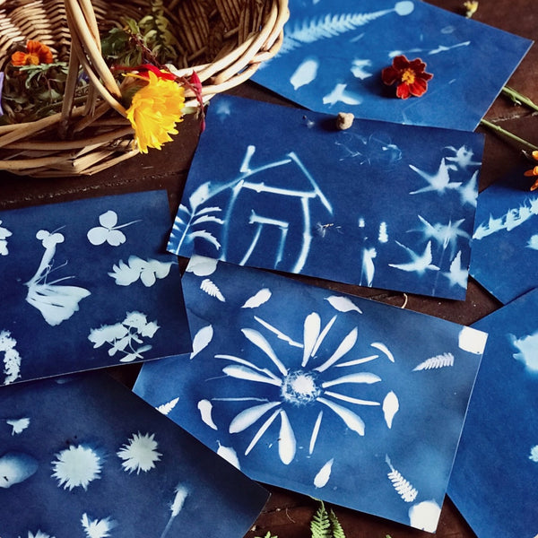 Nature Print Kit