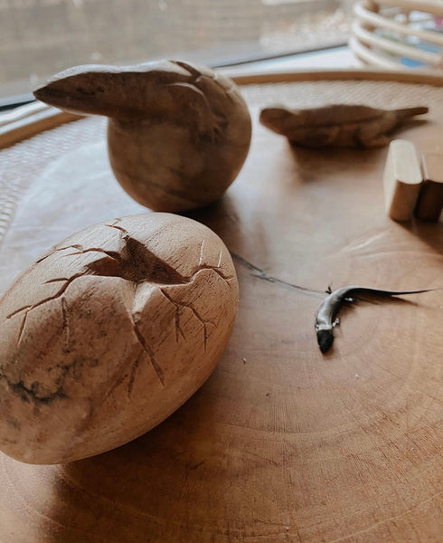 Wooden lizard life cycle set