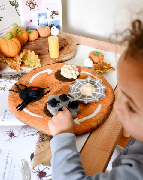 FELT LIFECYCLE OF REDBACK SPIDER