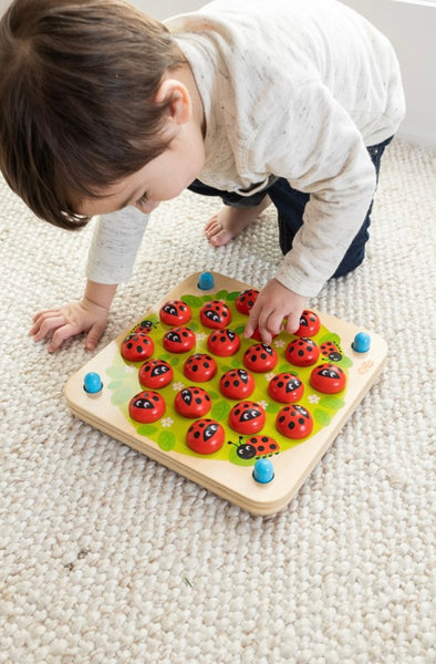 LADYBUG'S GARDEN MEMORY GAME