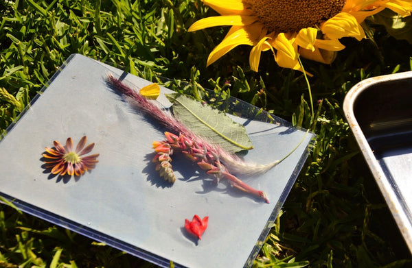 Nature Print Kit