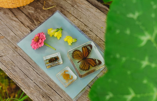 Nature Print Kit
