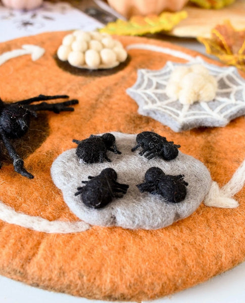 FELT LIFECYCLE OF REDBACK SPIDER