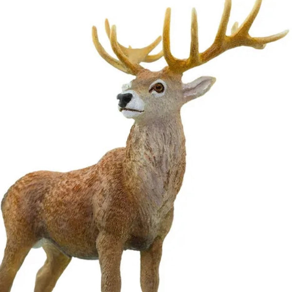 RED DEER STAG