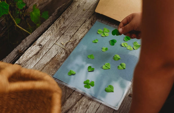 Nature Print Kit