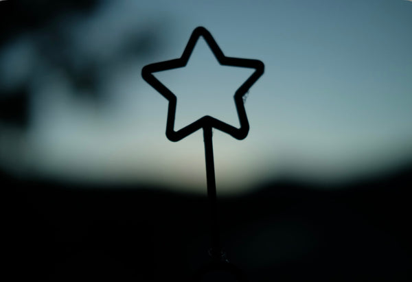 Halloween Star Eco Bubble Wand