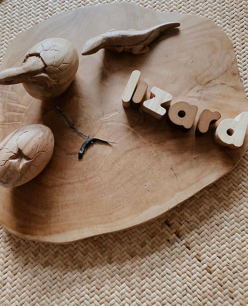 Wooden lizard life cycle set