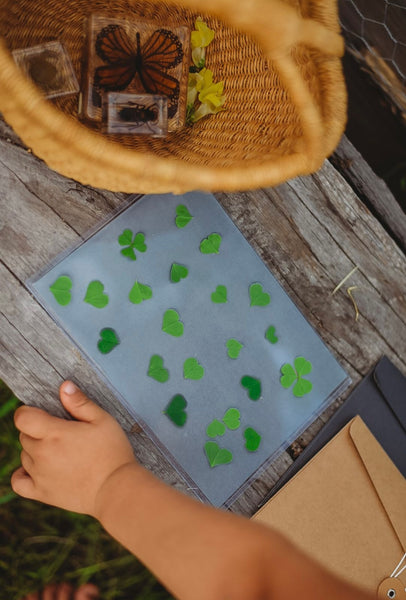 Nature Print Kit