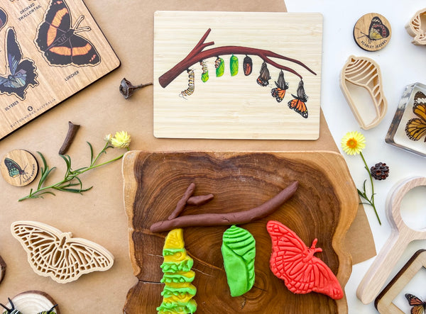 Lifecycle of a Monarch branch board
