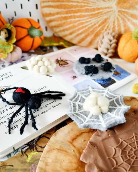 FELT LIFECYCLE OF REDBACK SPIDER