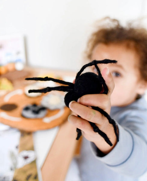 FELT LIFECYCLE OF REDBACK SPIDER
