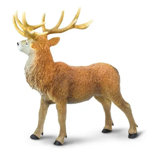 RED DEER STAG