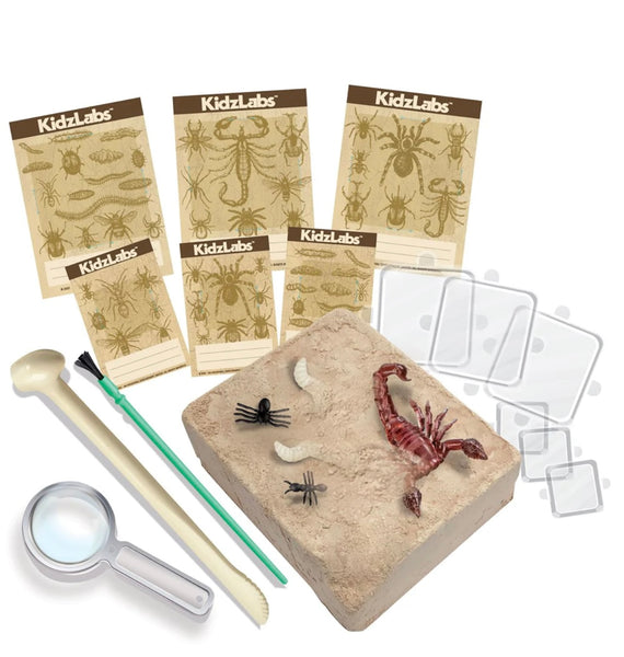 CREEPY CRAWLY DIGGING KIT