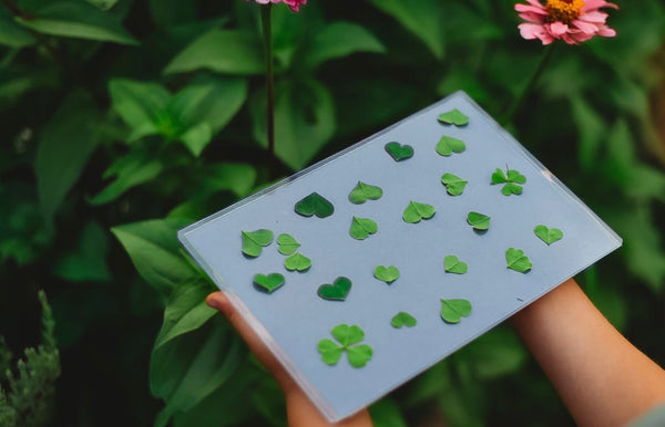 Nature Print Kit