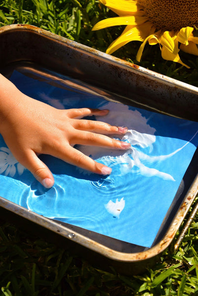 Nature Print Kit