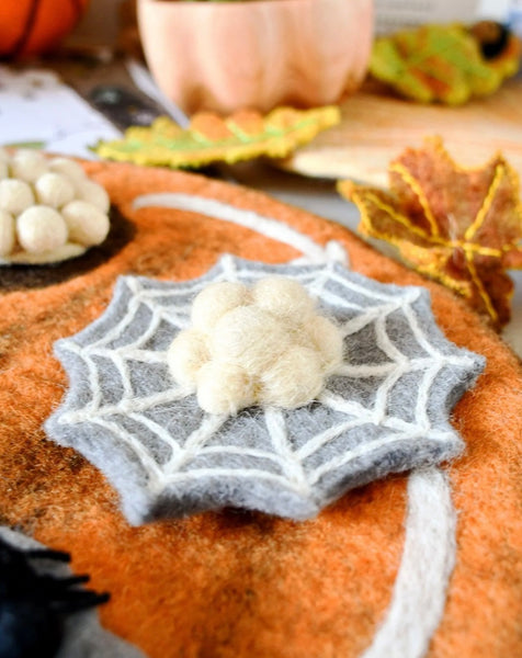 FELT LIFECYCLE OF REDBACK SPIDER