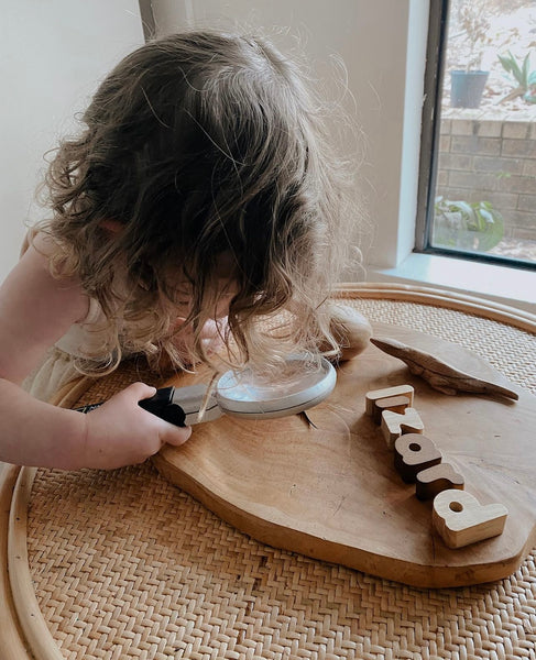 Wooden lizard life cycle set