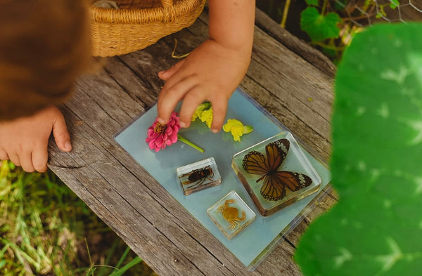 Nature Print Kit