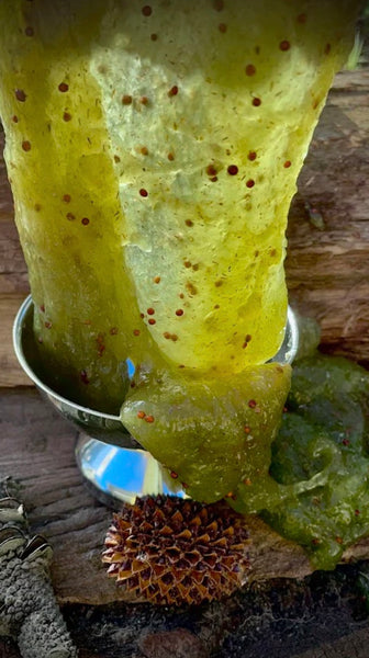 Monster Slime Powder