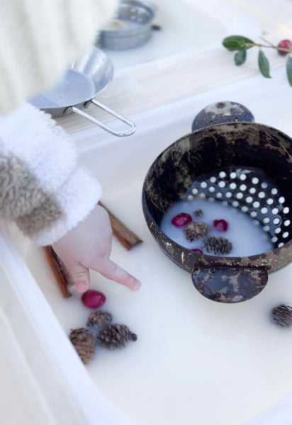 Coconut Colander