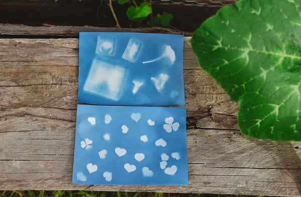Nature Print Kit