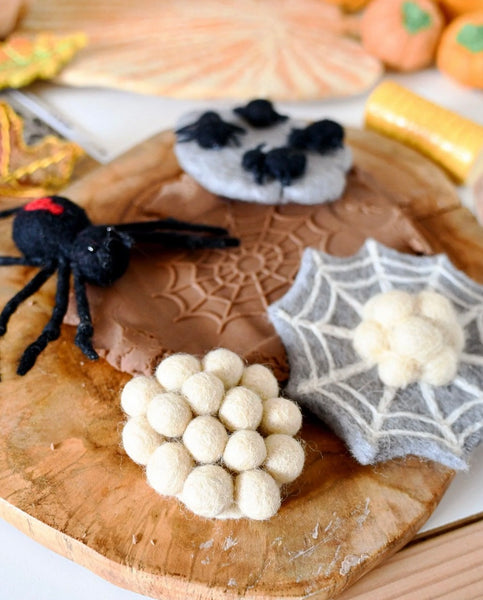 FELT LIFECYCLE OF REDBACK SPIDER