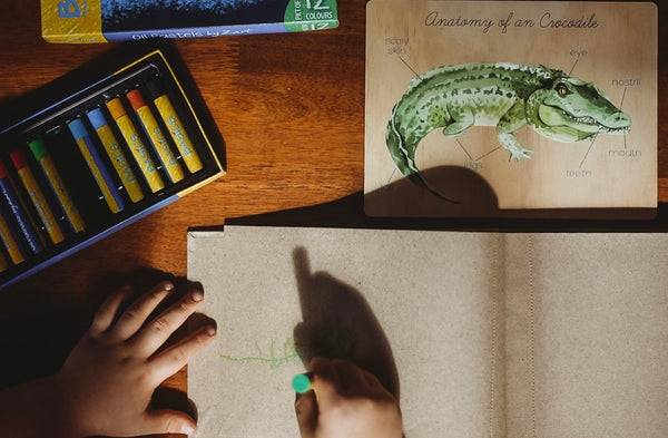 Anatomy of an Crocodile Board
