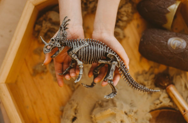 Jurassic egg