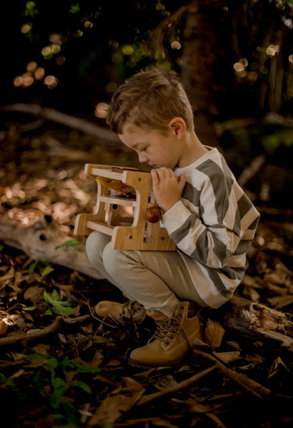 Wooden Microscope