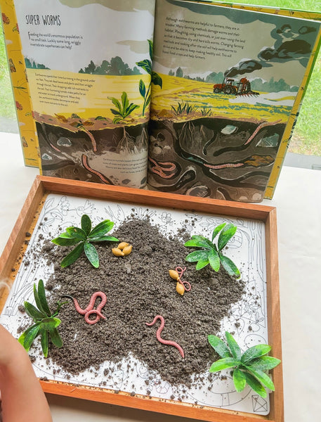 Life cycle of a worm