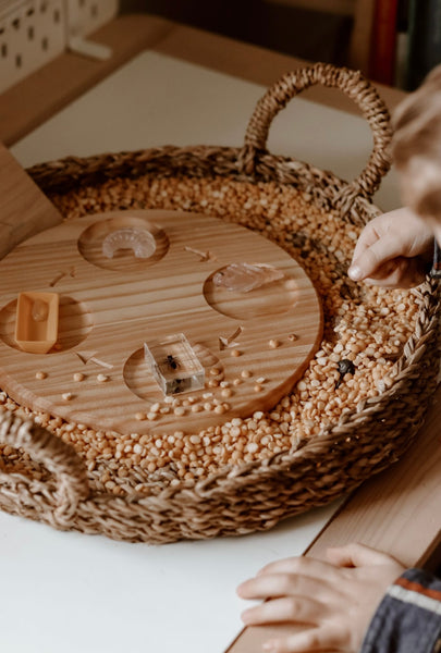 Wooden Life Cycle Tray