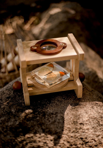 Wooden Microscope