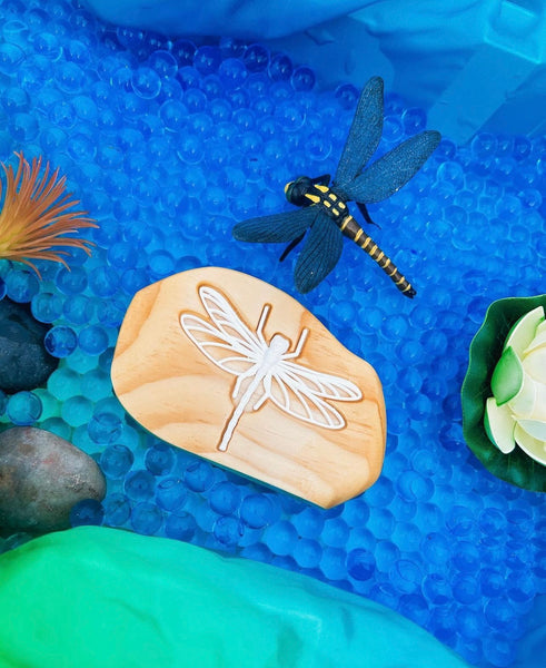 Ancient Dragonfly Fossil in Rock