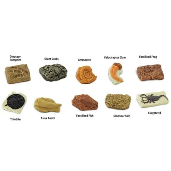 Ancient fossil toob- Safari Ltd