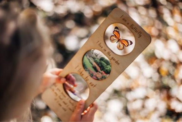 Butterfly ecosystem board + stand