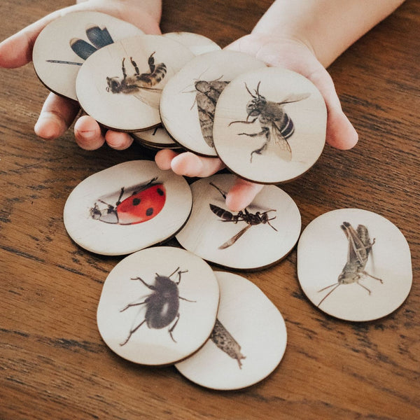 Australian Themed Magnets -Bugs- 28 Pieces