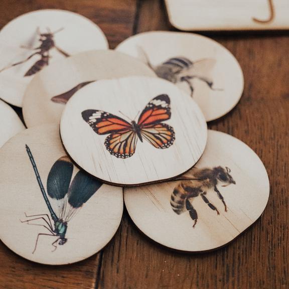 Australian Themed Magnets -Bugs- 28 Pieces