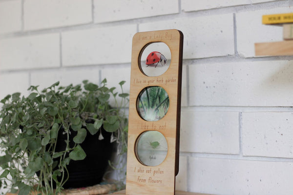 Lady Bug ecosystem board