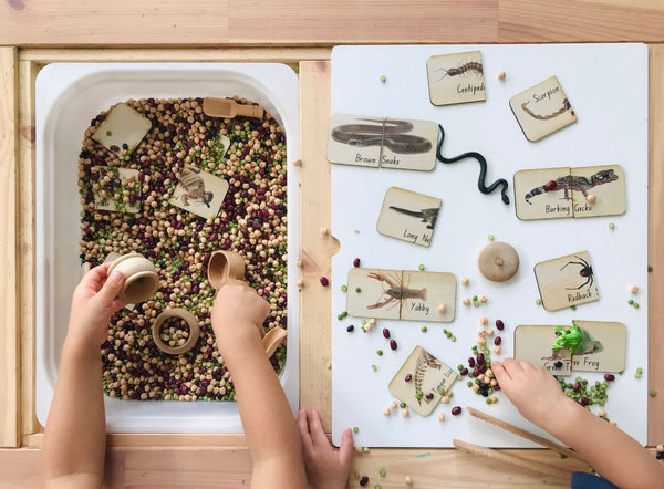 Australian Themed Matching Puzzle -Creepy Crawlies 18 Piece