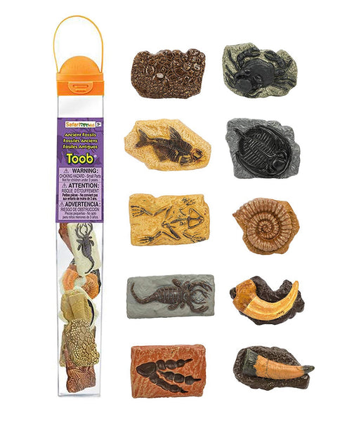 Ancient fossil toob- Safari Ltd