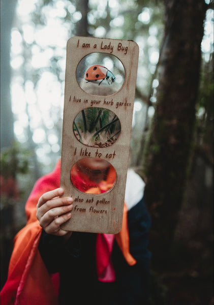 Lady Bug ecosystem board