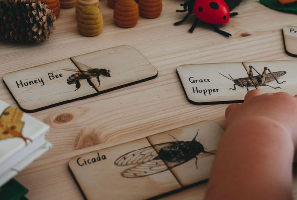 Australian Themed Matching Puzzles - Bugs (18 Pce)