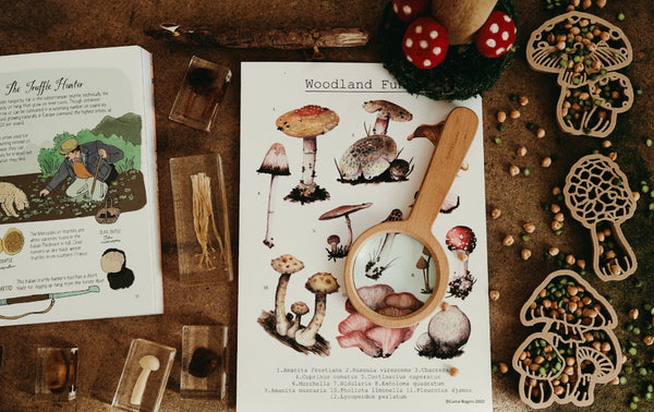 Mushroom Eco Cutter (sold individually)