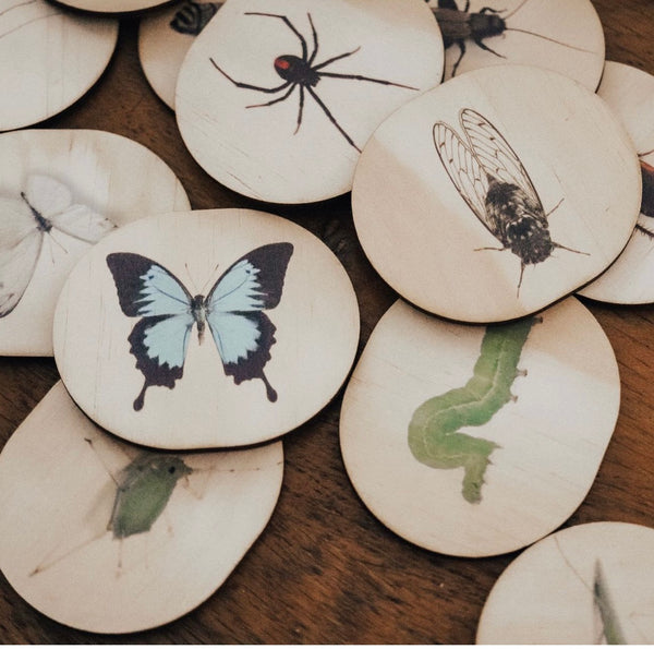 Australian Themed Magnets -Bugs- 28 Pieces