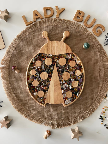 Lady bug sensory board