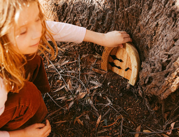 Fairy Door