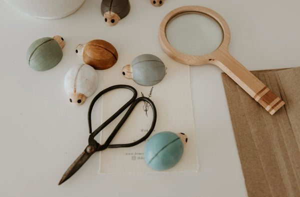 Earth Ladybirds/7pc