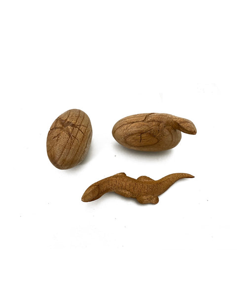 Wooden lizard life cycle set