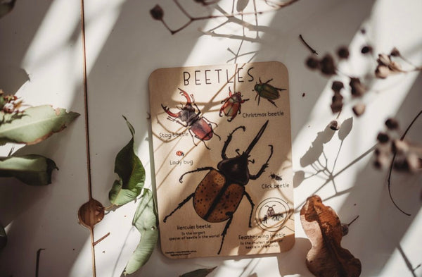 Beetle Tile + Colouring Card